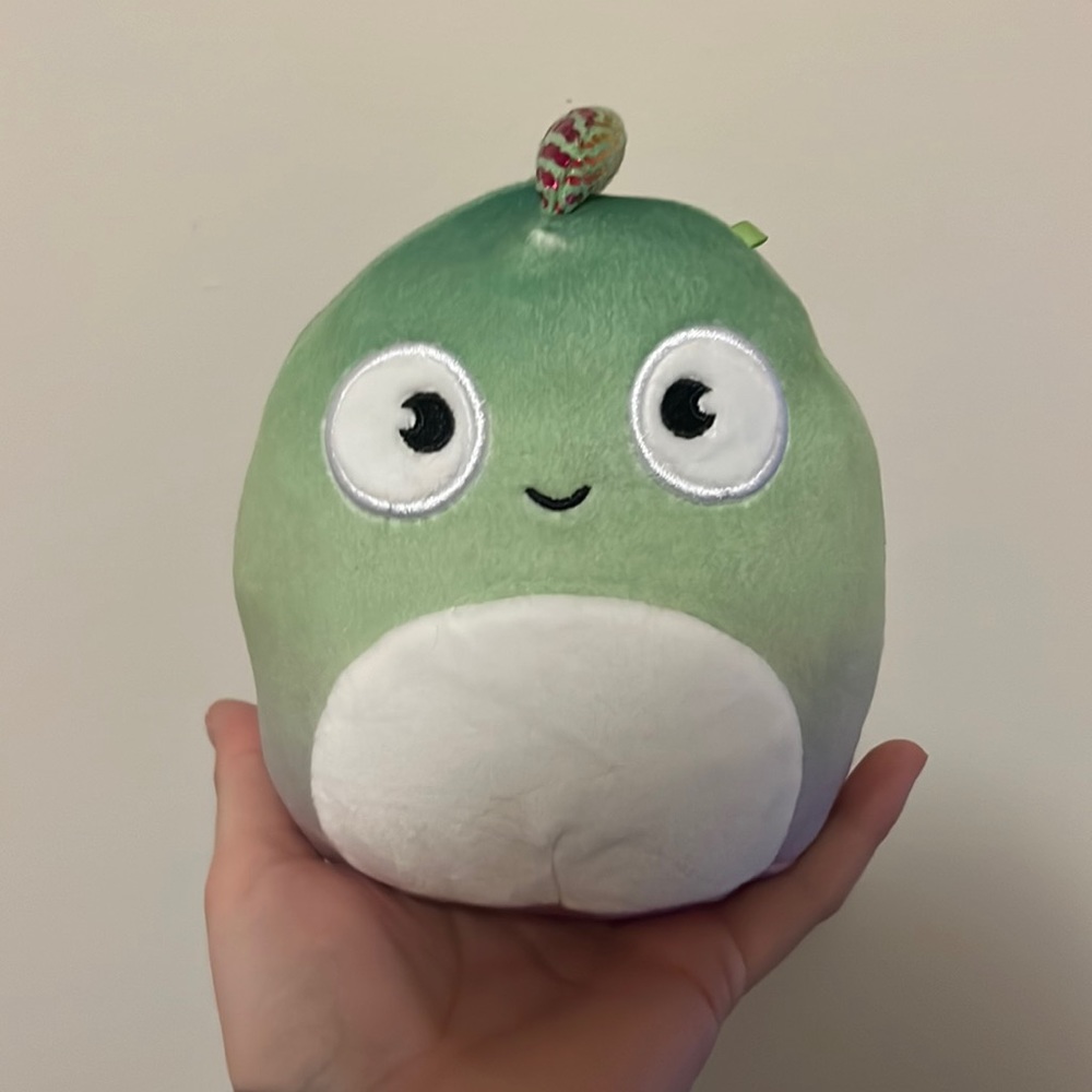 5” Chameleon Squishmallow BNWT